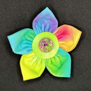 multicolored flower